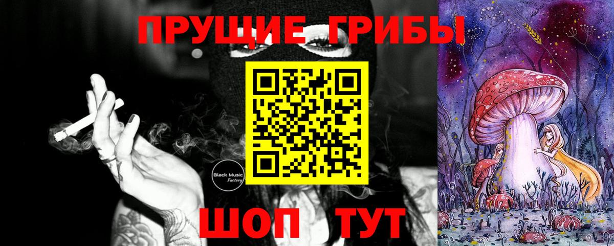 Галлюциногенные грибы Psilocybe  Вход с VPN  Волхов 
