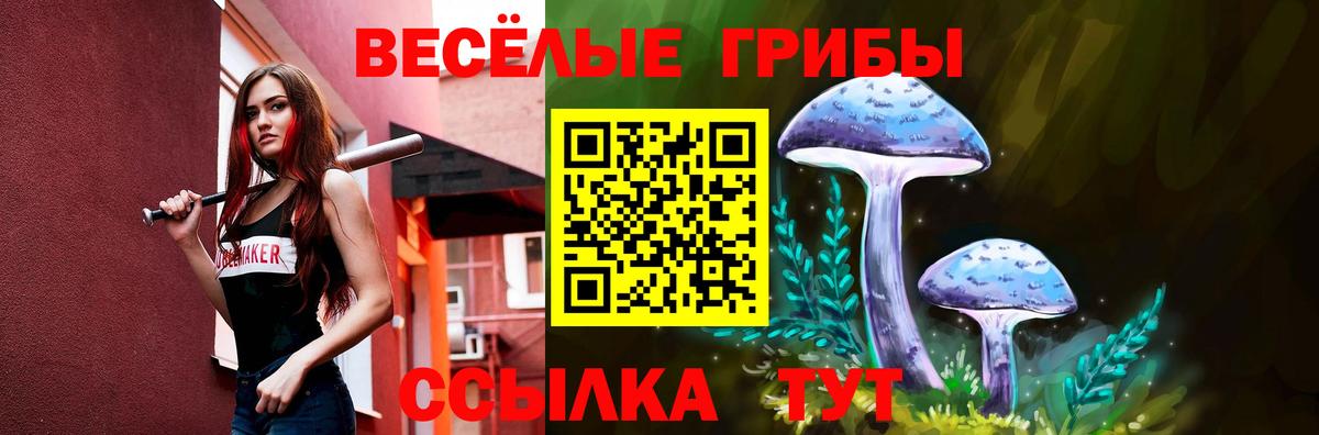 Псилоцибиновые грибы мухоморы Волхов